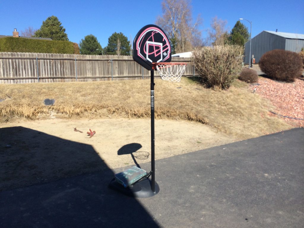 lifetime portable basketball hoop 